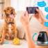 Видеоняня WISENET SmartCam,  черный [snh-v6410pn]